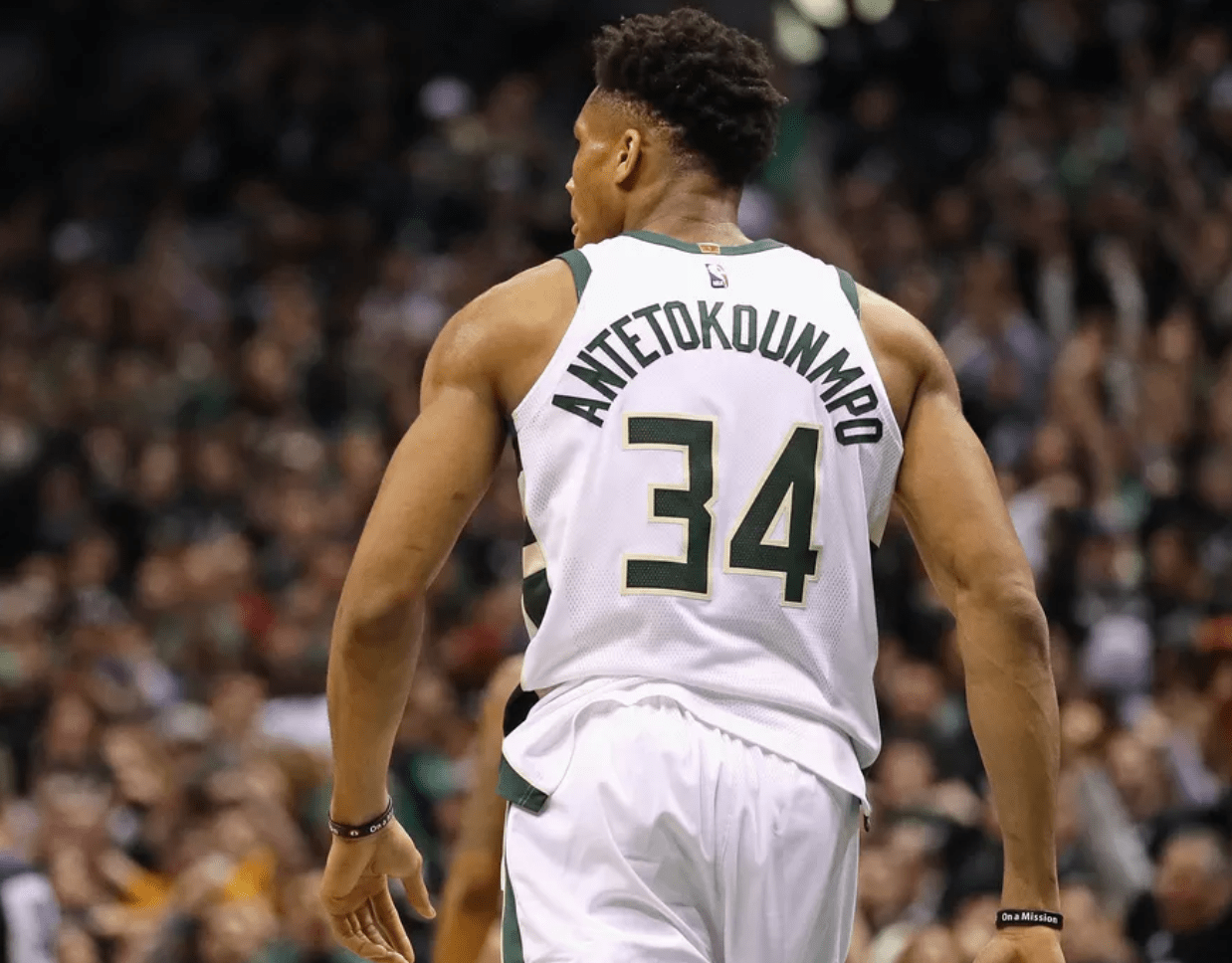 周末五大联赛来临！周五011英冠：莱斯特城vs伯明翰 狐狸城主场有猫腻！